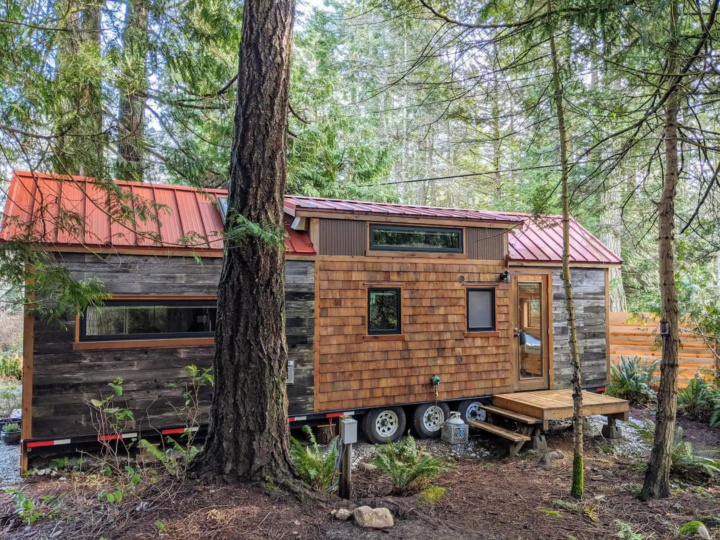 Backyard of Cabin house located in wood, on three wheels with a lot of windows
