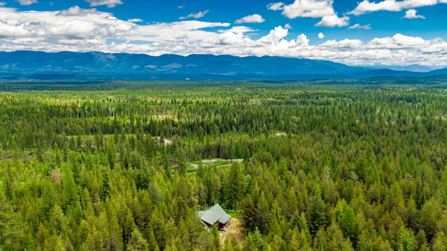 Beautiful nature around cabin, green trees and blue sky