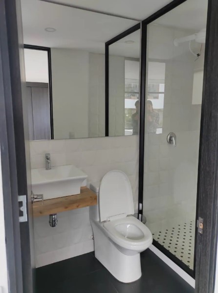 bathroom with a glass shoer and white toilet and a mirror