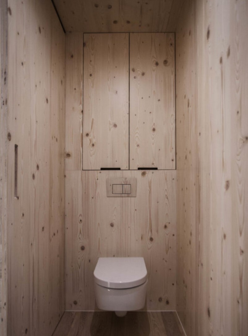 Minimalistic bathroom with wooden interior and a toilet