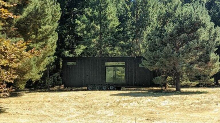 exterior of a tiny house surrounded by a lot of trees