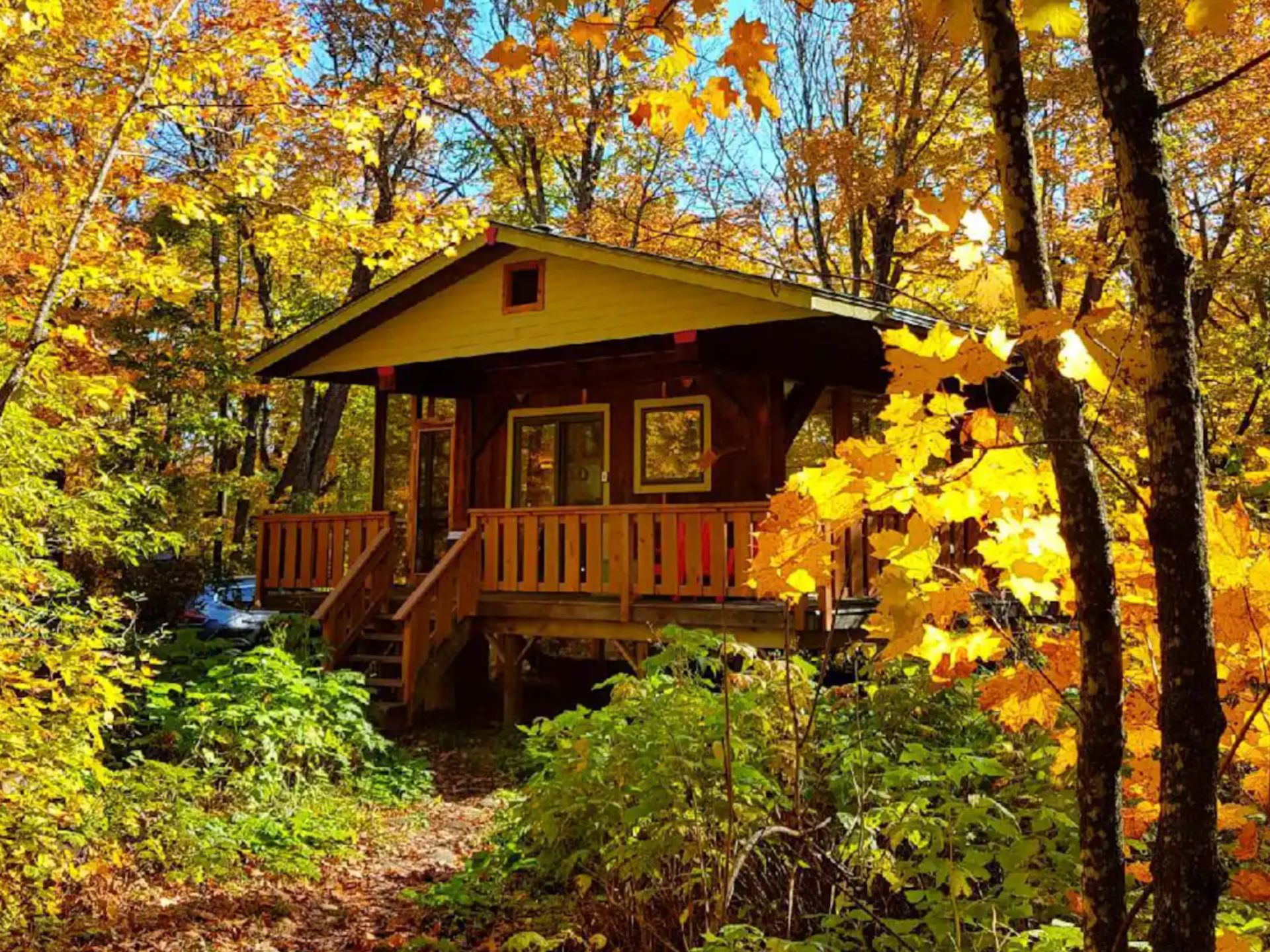 exterior of wooden cabin in forest