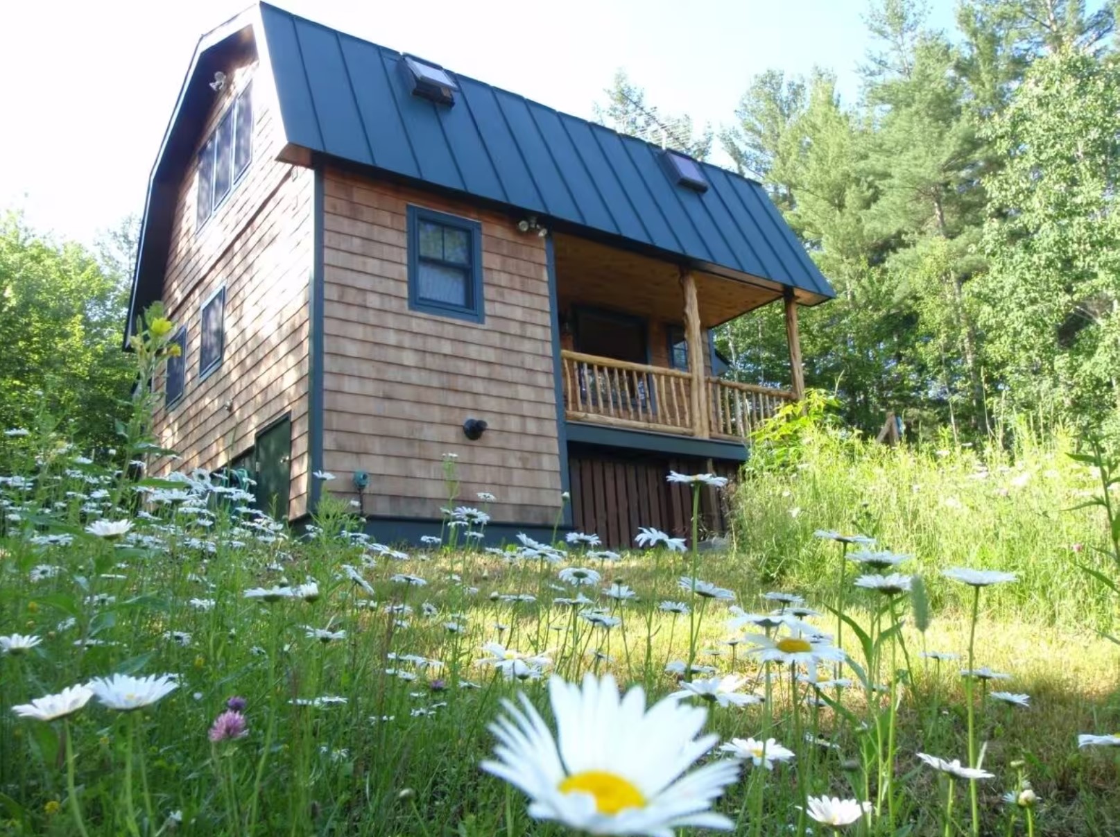 Wooden cabin in a forest with flowers