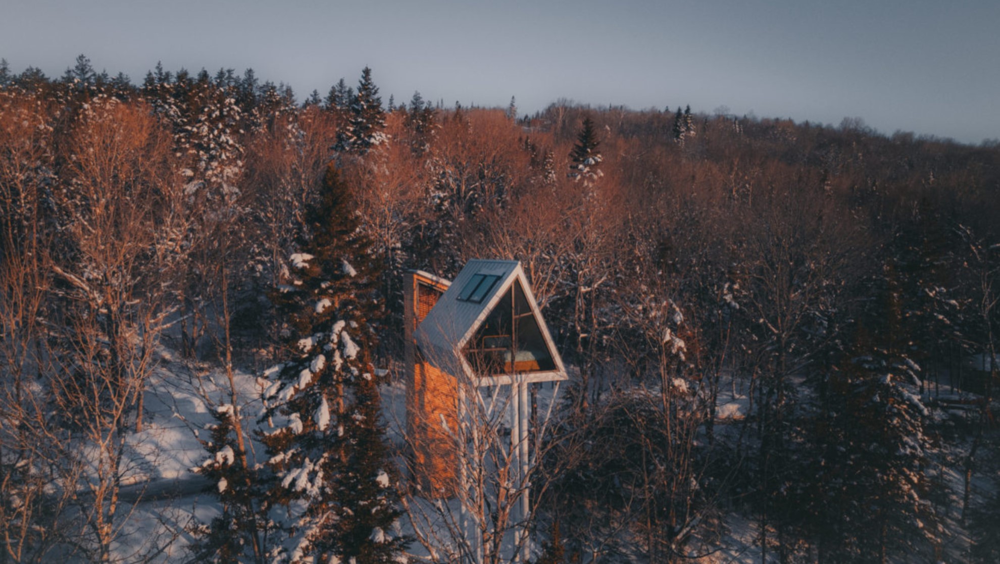 Elevated wooden cabin in the woods