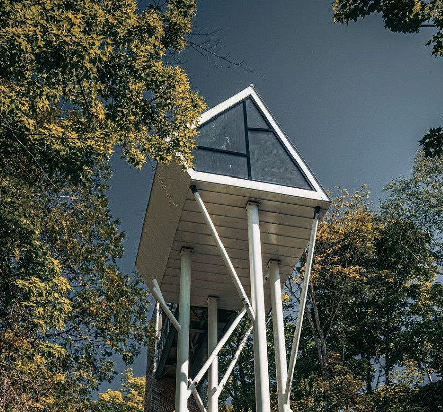 Elevated cabin in trees with the view from the ground