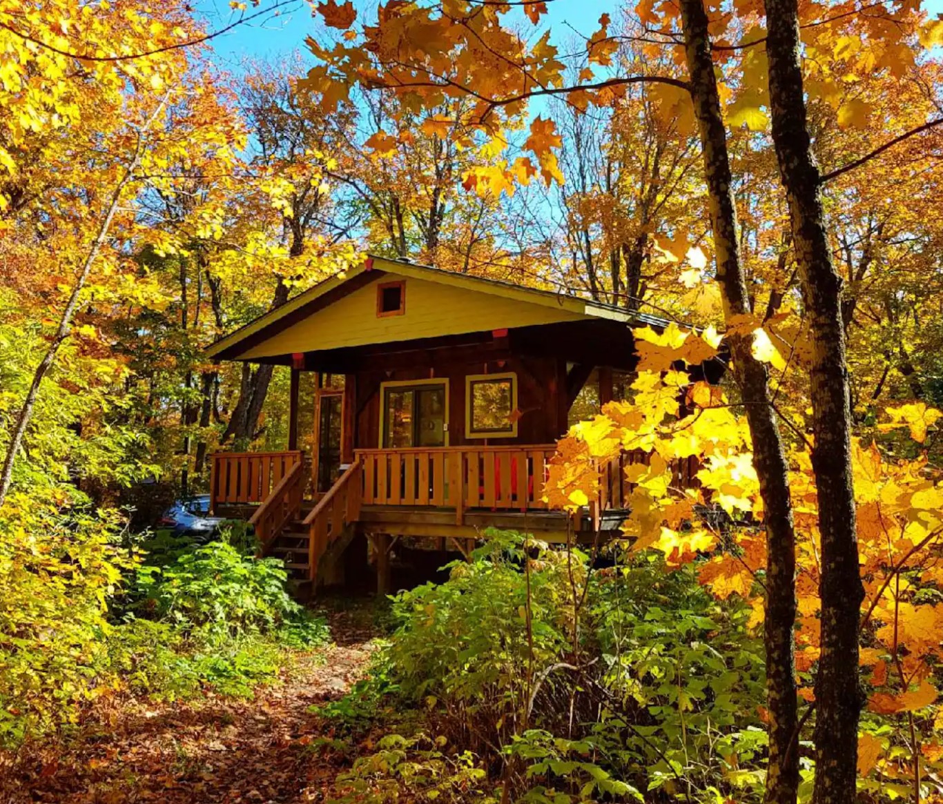 exterior of cabin in fall with yellow leaves