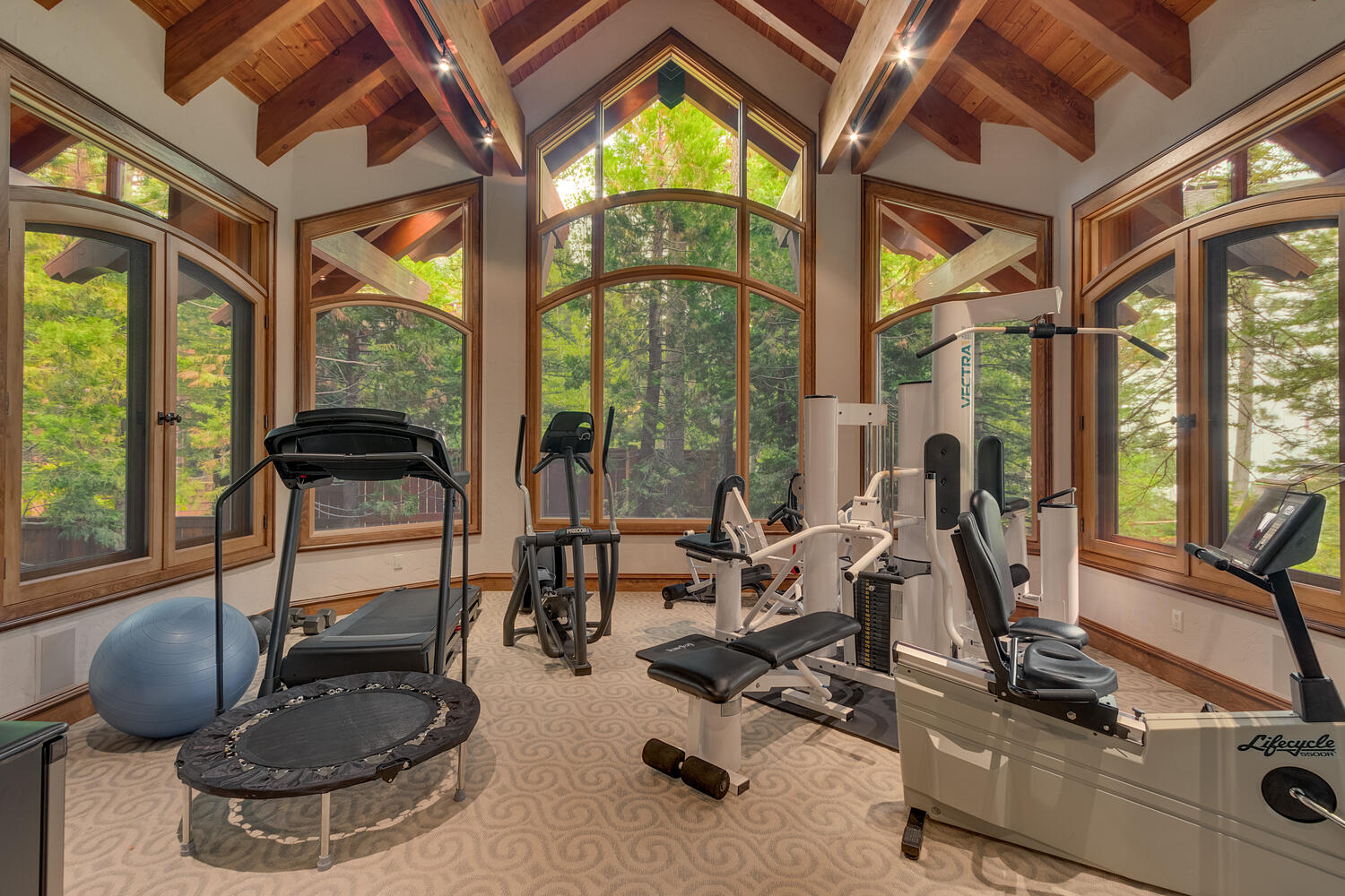 gym with floor to ceiling windows