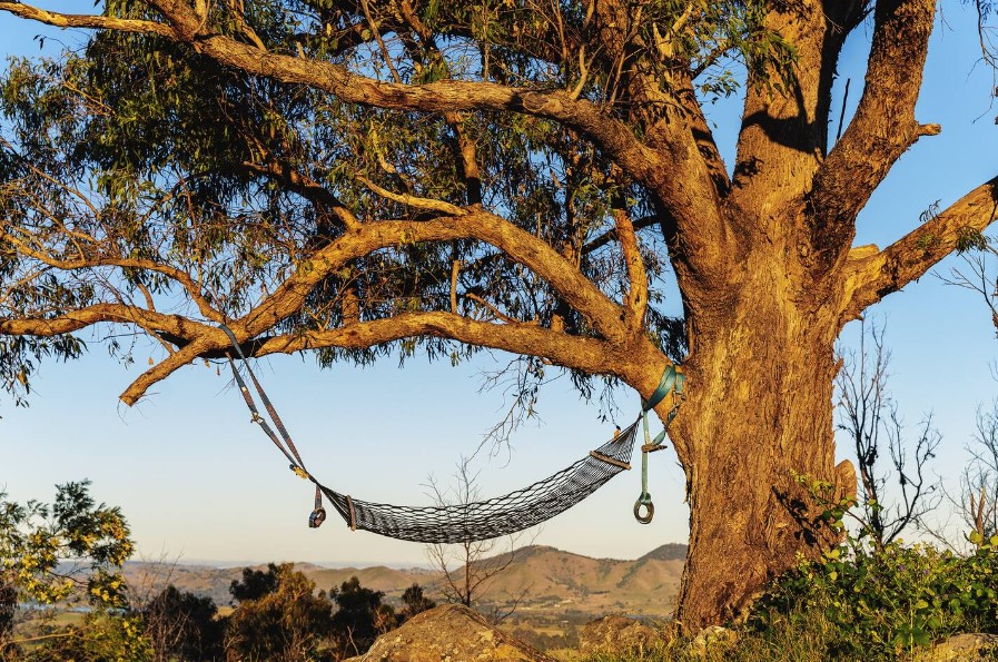 hammock in the nature