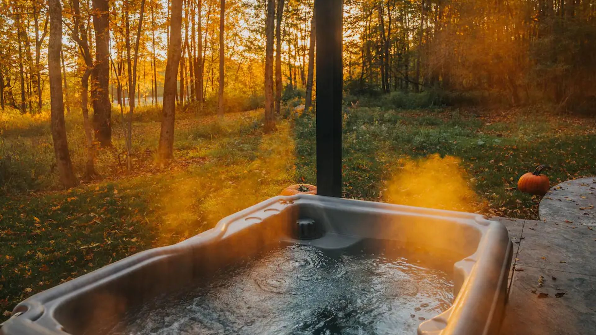 hot tub in the forest with lots of sunlight