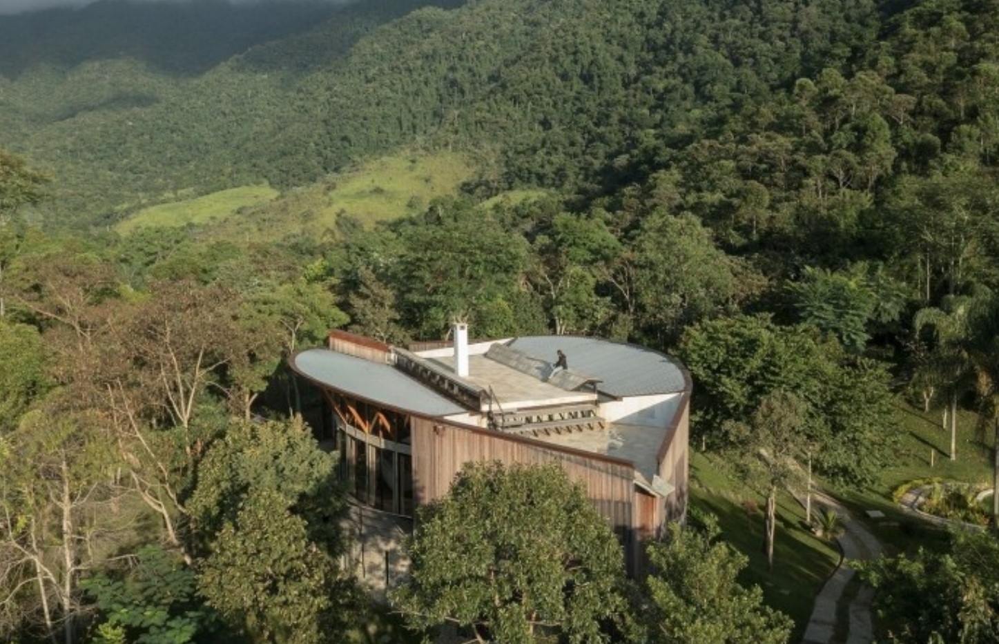 Home with a unique shape in the middle of a forest