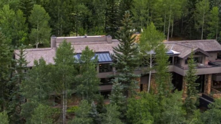 exterior of a modern house surrounded by greenery
