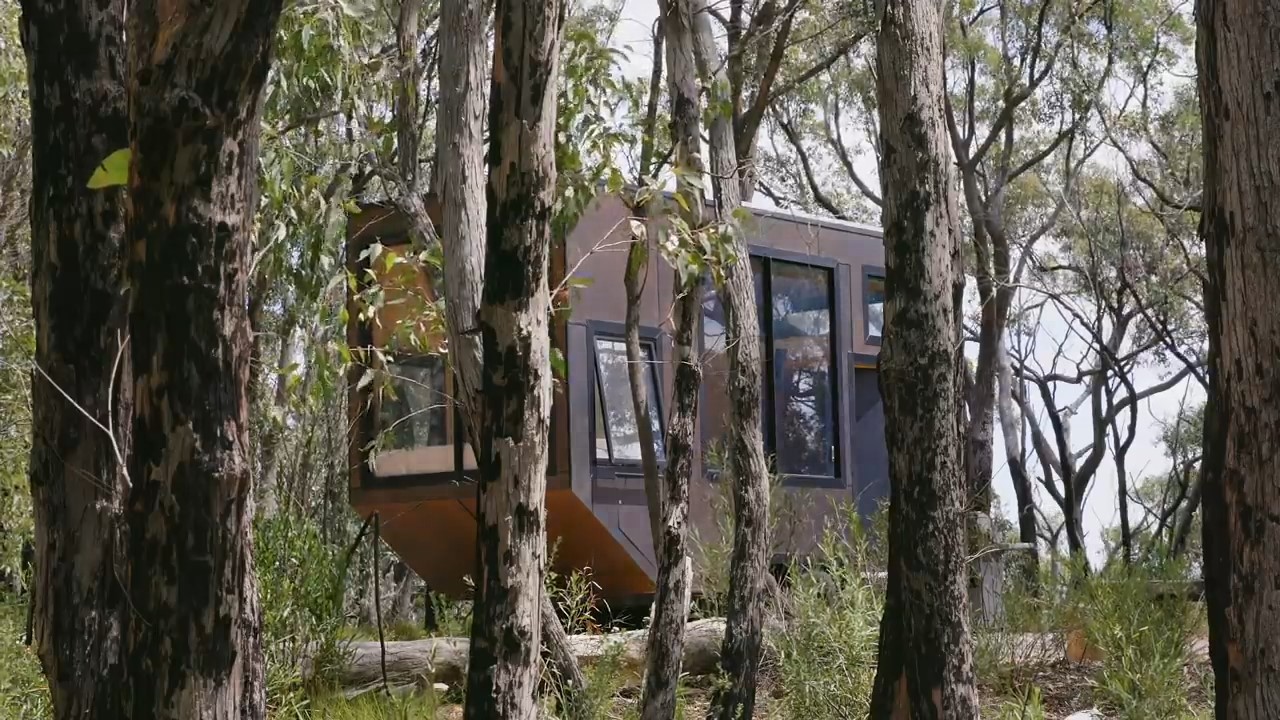 Tiny brown trailer home in the woods