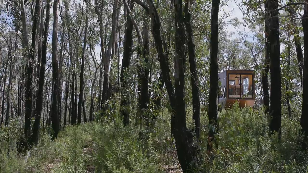 Tiny off-grid home in the middle of a forest