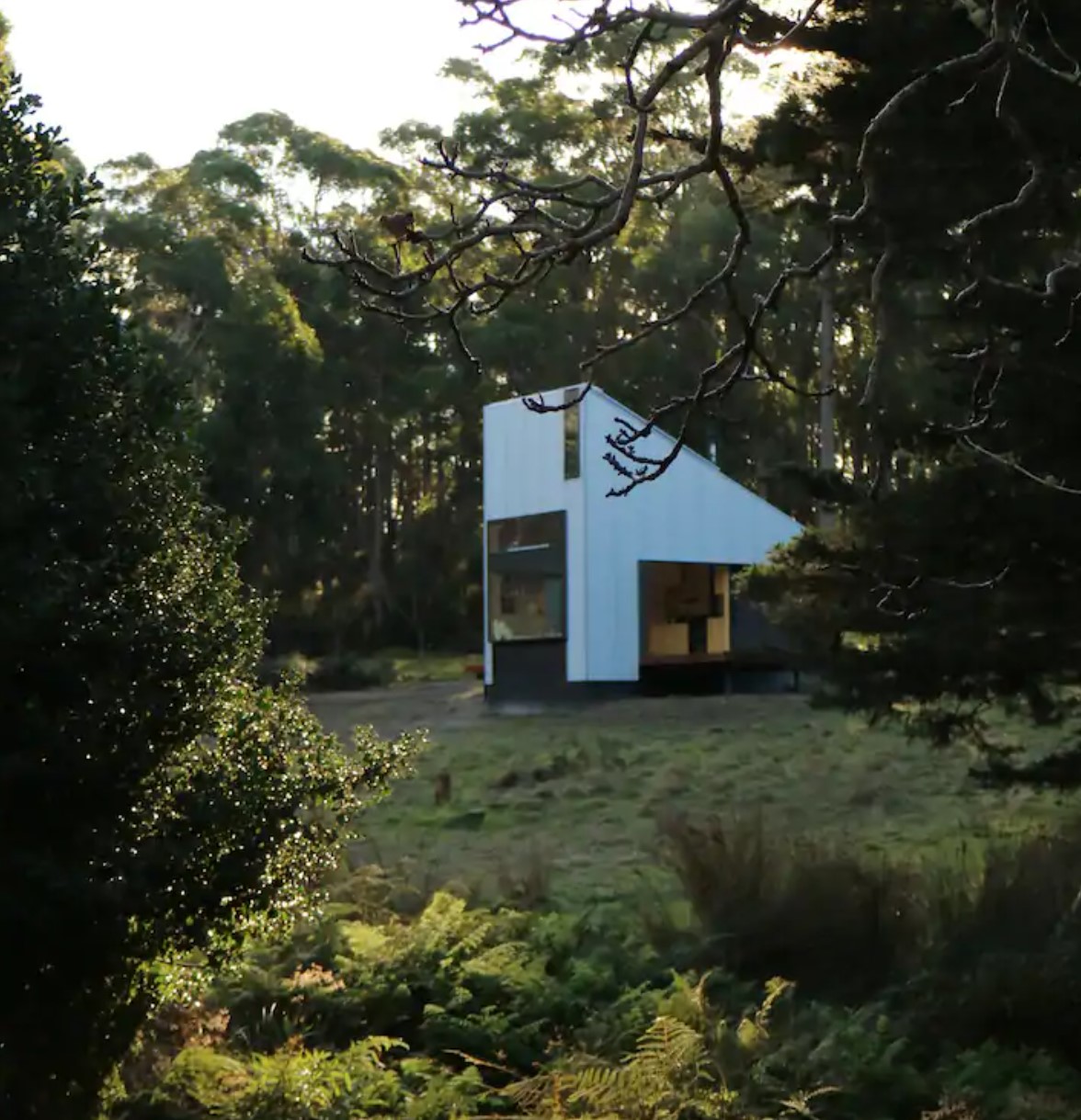 Minimalistic cabin in the middle of the woods