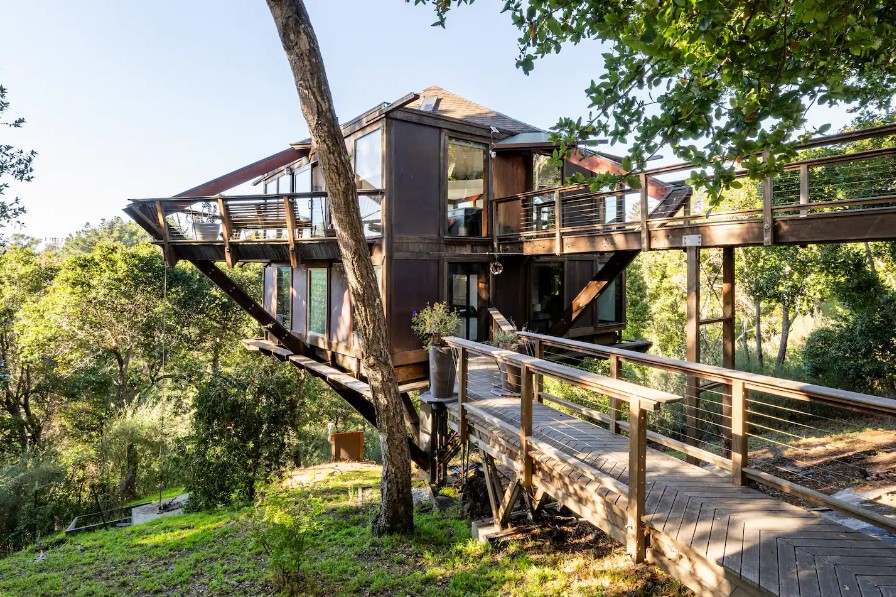 unique treehouse overlooking the ocean