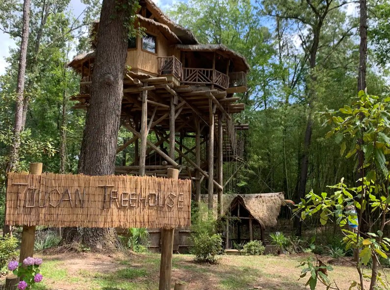 brown treehouse that's very high up