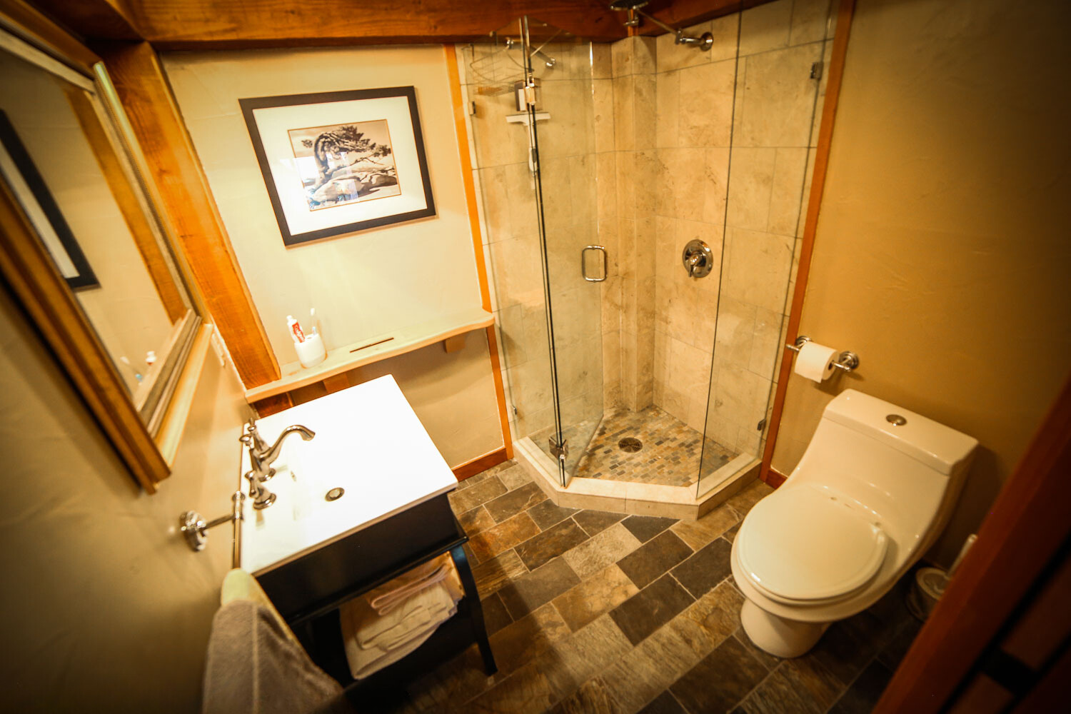 bathroom with a glass shower, white toilet and a mirror above the sink