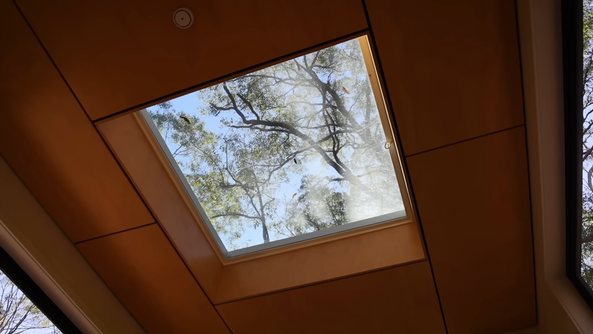 ceiling window