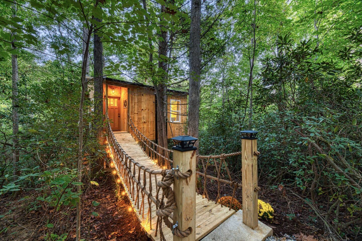 treehouse with a well-lit bridge leading up to it, set in nature