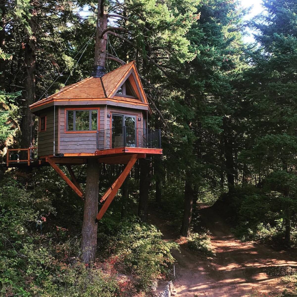 treehouse with floor to ceiling windows in the woods