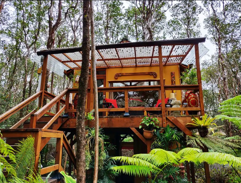 treehouse in a rainforest filled with plenty of plants