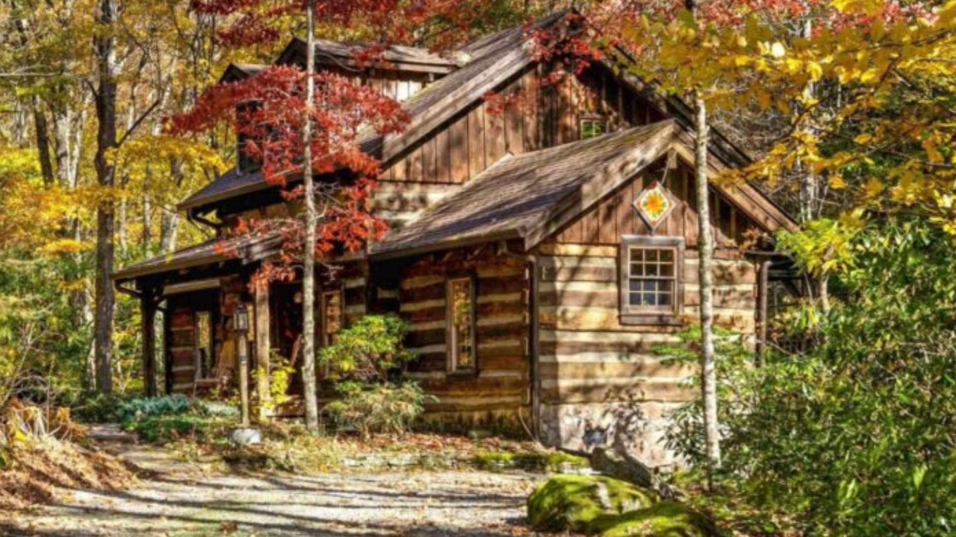 log cabin in woods