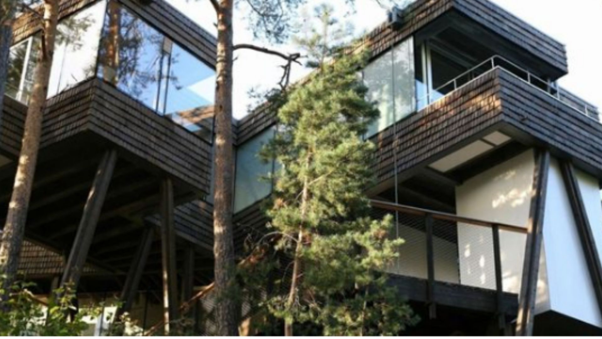 exterior of the summer house, walls in wood and glass, photographed from a lower level, surrounded by trees