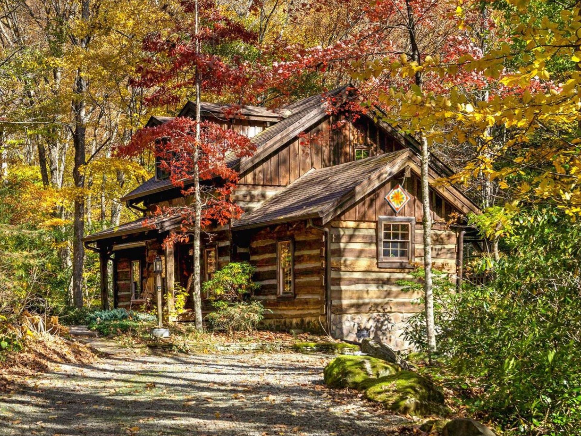 Log cabin in woods