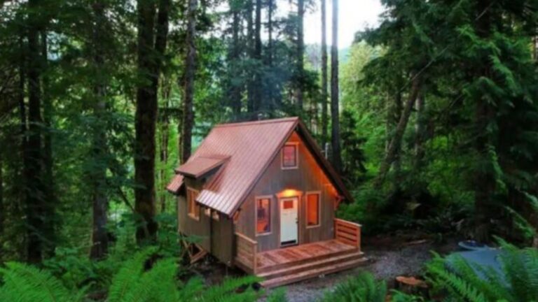 exterior of the tiny cabin with wood siding, white door, lots of trees surrounding the cabin and greenery