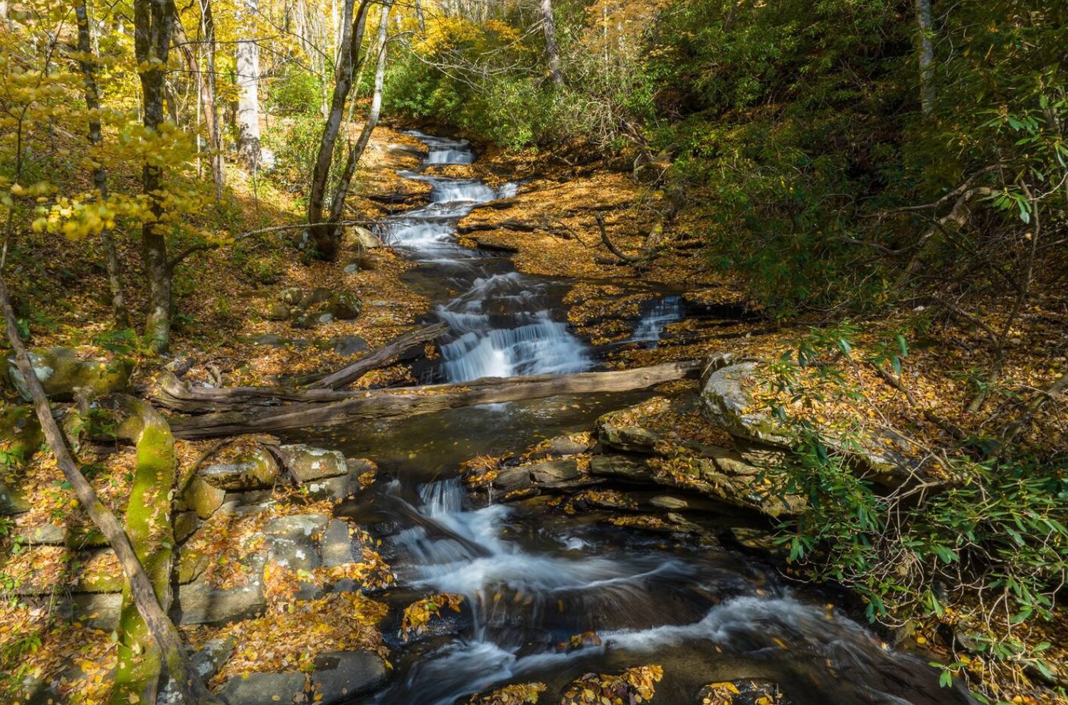 Serene waterfall hidden behind cabin