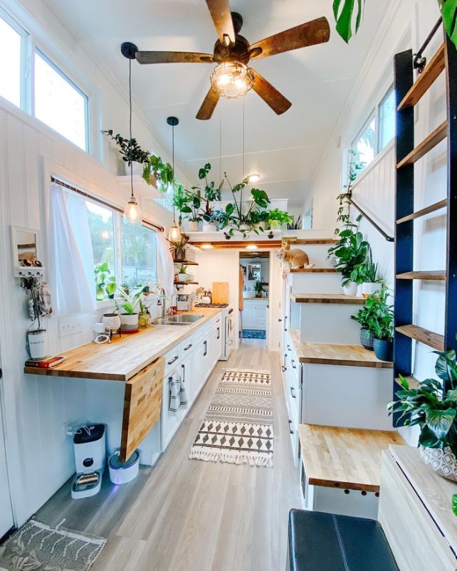 kitchen with white cabinets, brown countertop, a lot of plants and windows