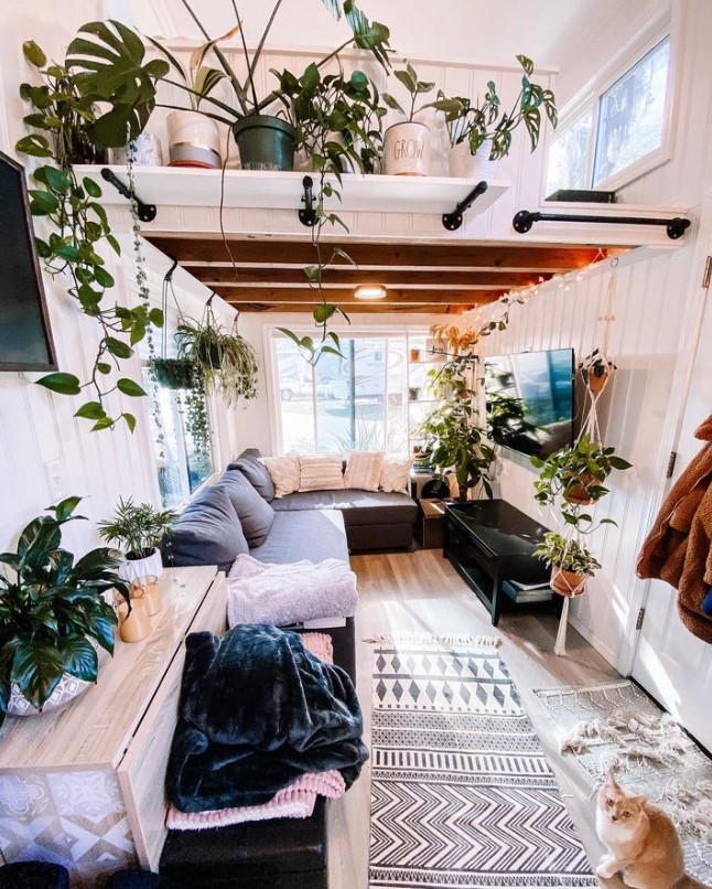 living room with an l-shaped gray couch, flat screen tv, a lot of plants