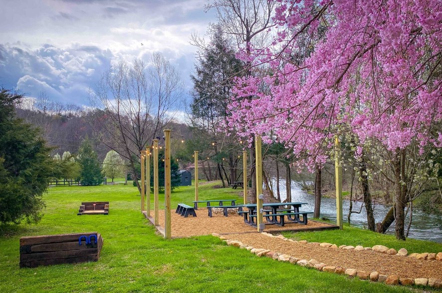 mini path with an outdoors dining table next to the river and a pink tree