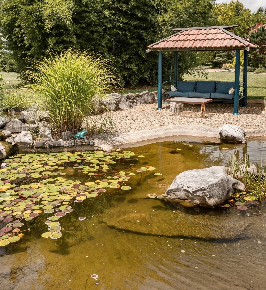 Natural pond with a green swing bed