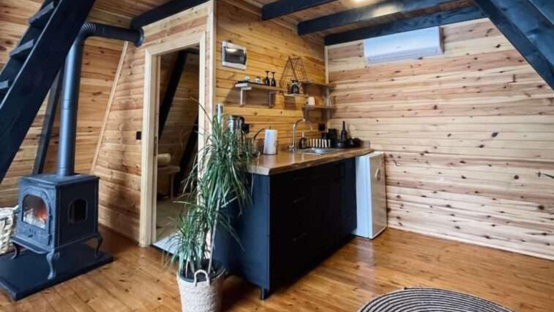 small kitchenette in the back with black cabinets, a plant next to it, bathroom through the open door and a wood burning fireplace on the left