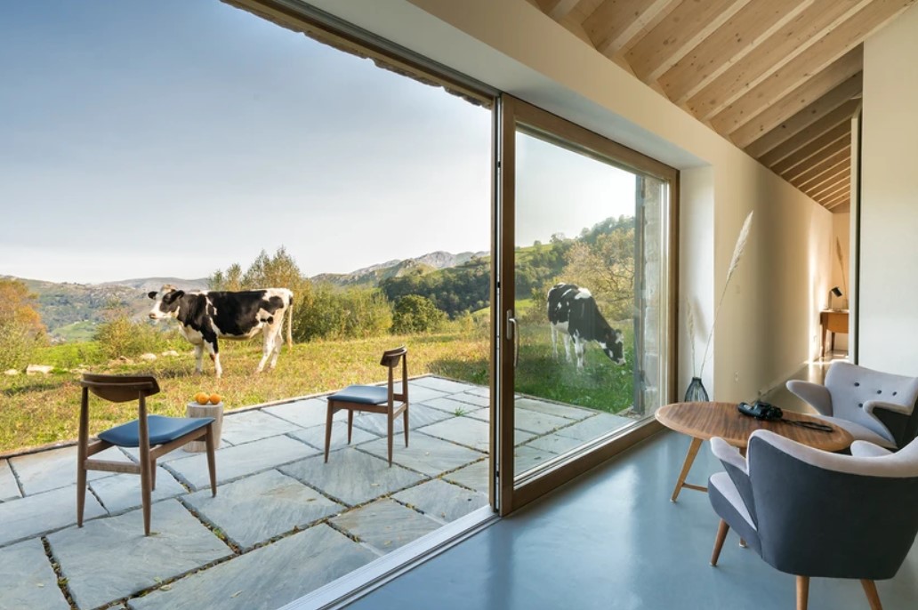 two chairs and a table next to the window and a mini terrace with cows