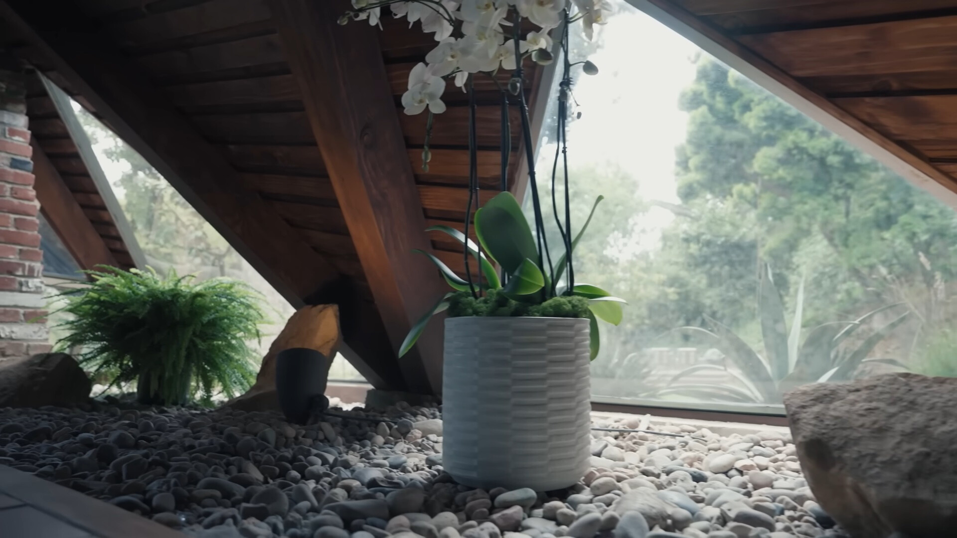 zen garden inside of the house