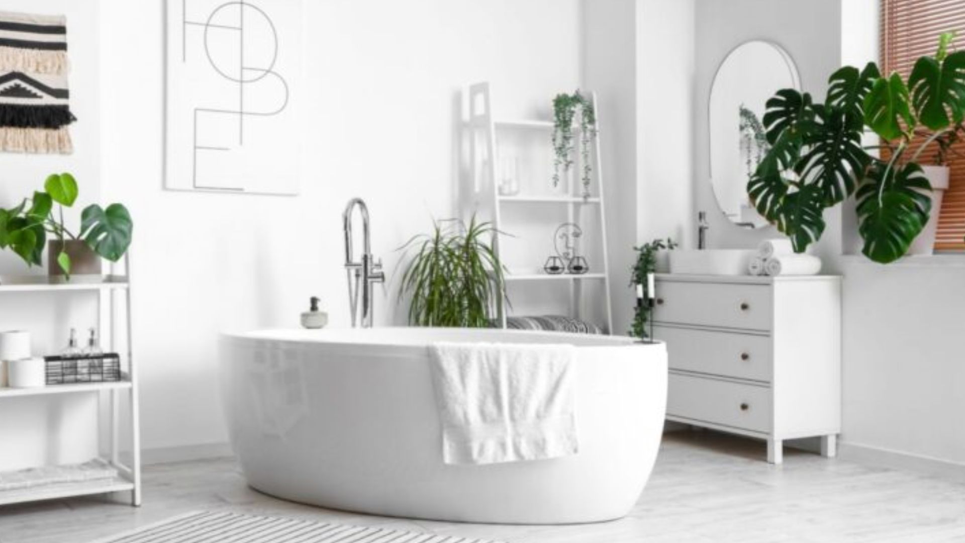 bathroom with a white wall, white bathtub in the middle, white cabinet and white shelves, green plants