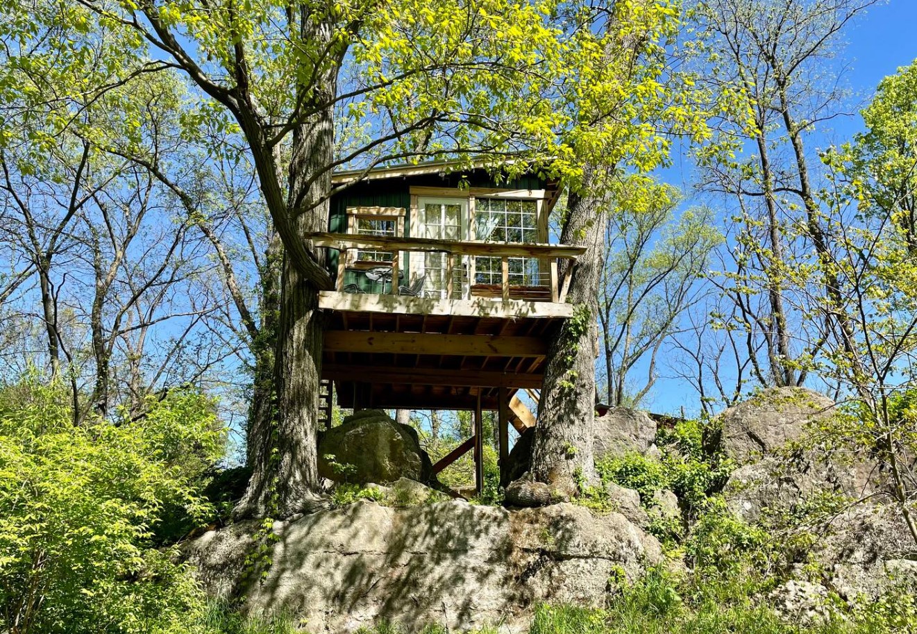 Tiny green tree house in supported by two trees