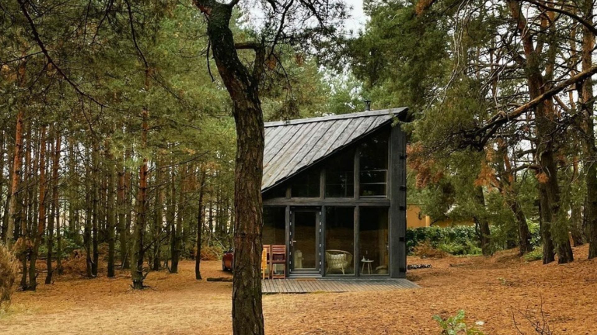 Asymmetrical cabin with a library