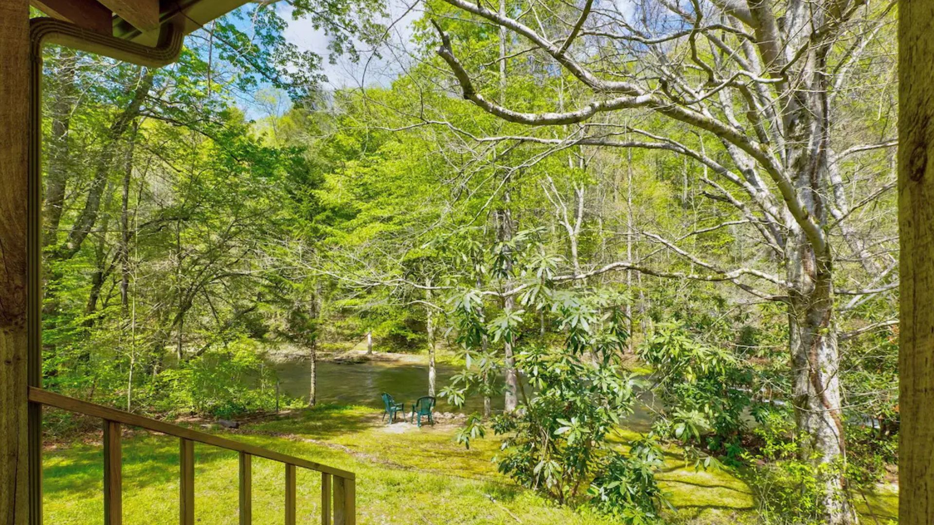 gorgeous view of the nature behind the cabin