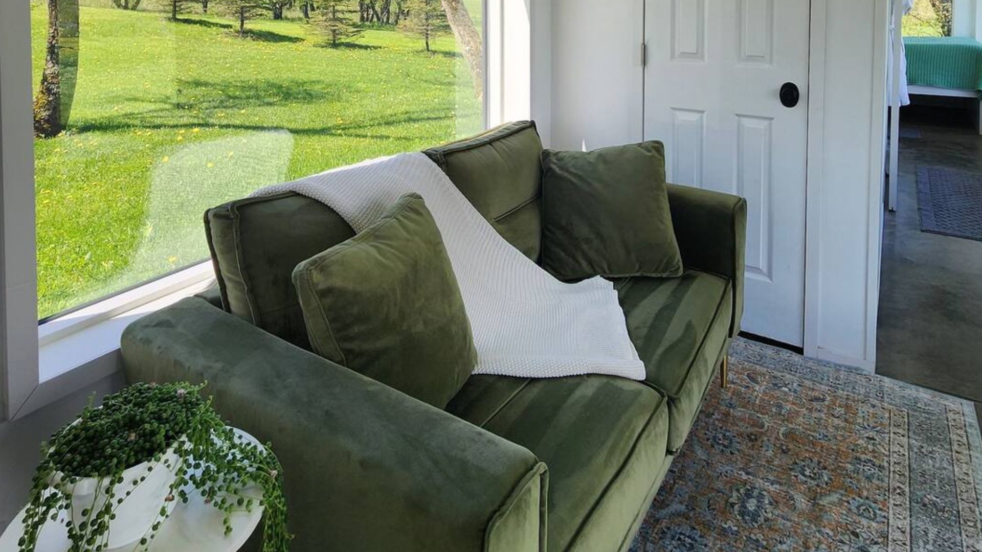 forest green sofa by the window