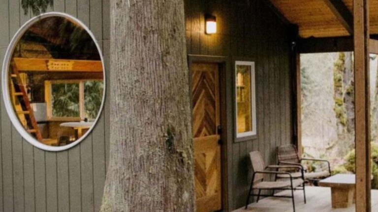 exterior of the small cabin called Cyclops, with a big round window on the side, a small entrance with a porch and a seating area