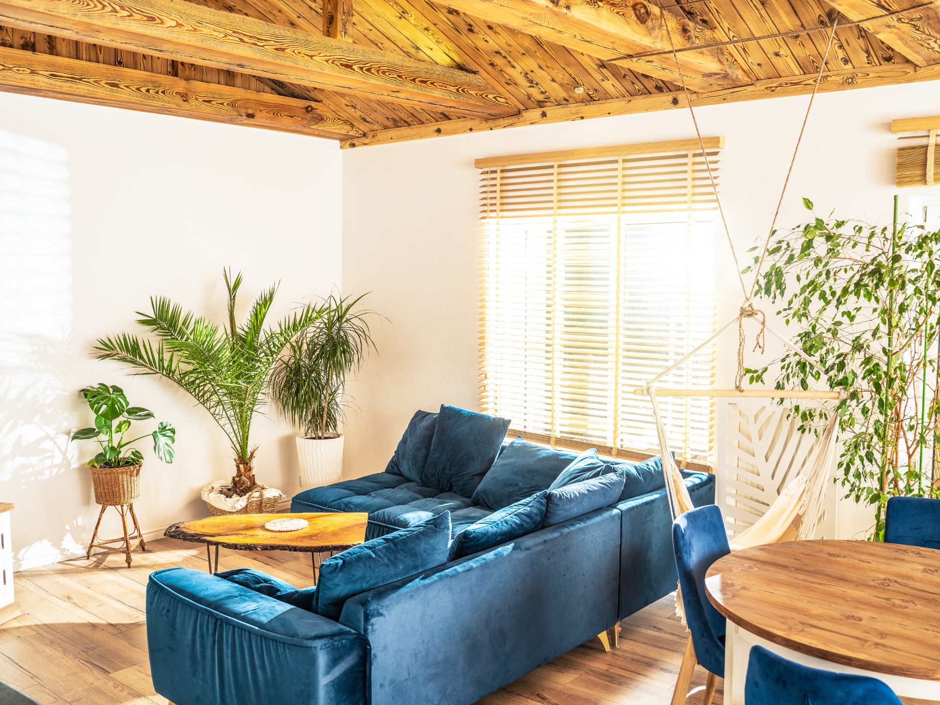 Mediterranean-style living room with a blue L-shaped sofa, lots of plants in the room, dining area with the same blue chairs on the right, a cool hammock chair, exposed wooden beams on the ceiling