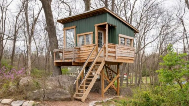 Green tree house with a stone path