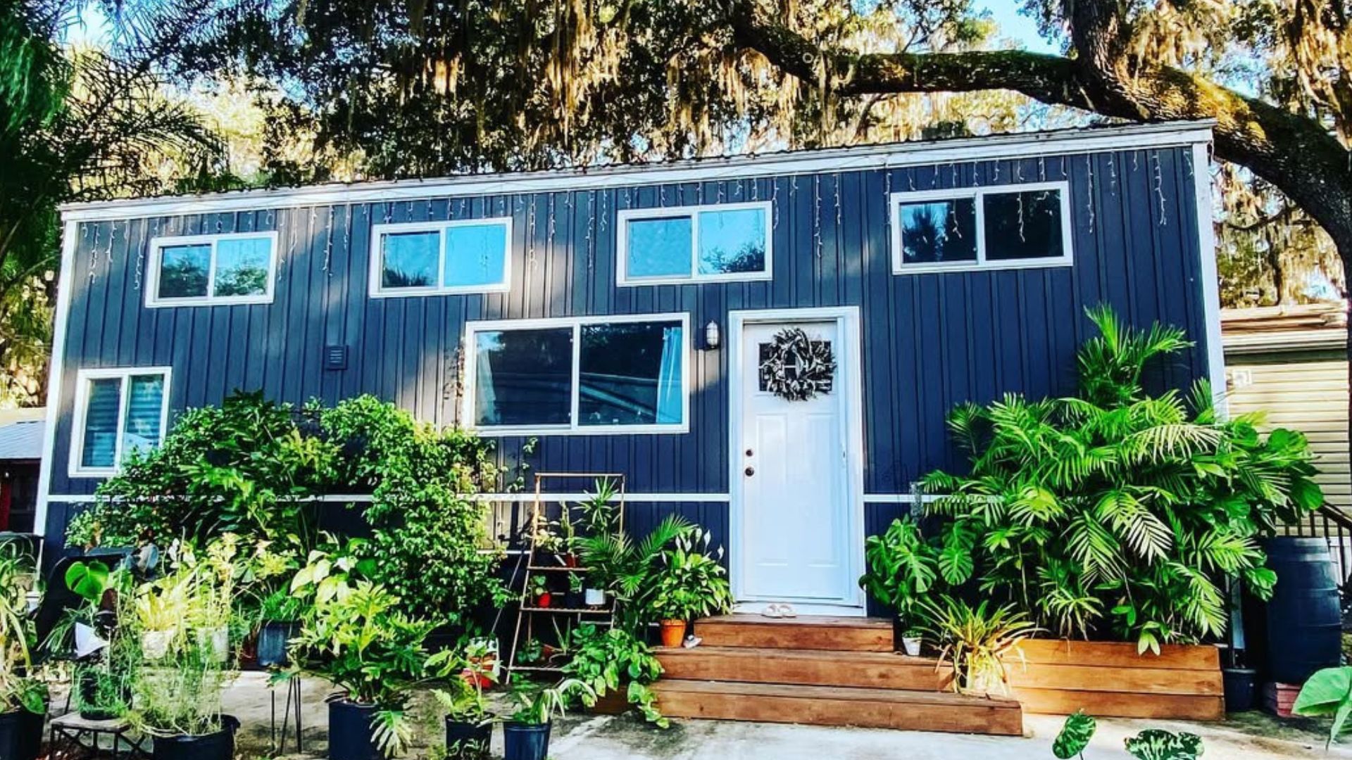 exterior of a tiny home with a lot of plants