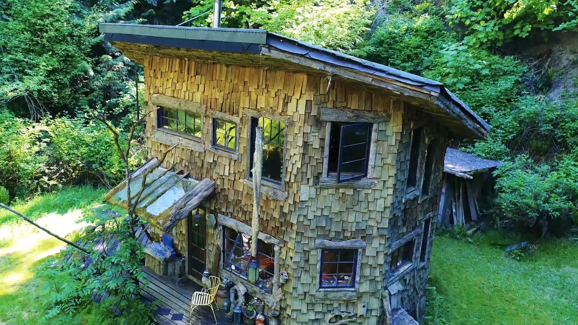 circular cabin home inside a tree trunk