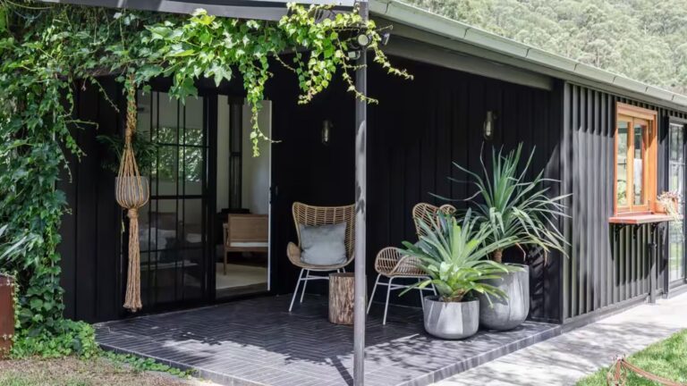 exterior of a tiny house surrounded by greenery