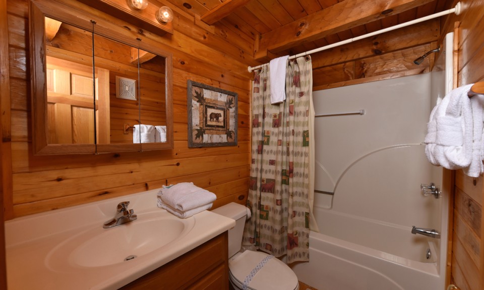 Wooden cabin bathroom with a bathtub and shower combo