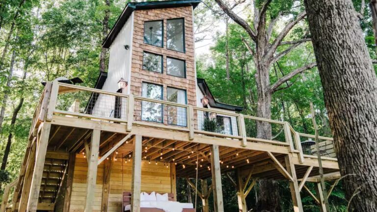 frontal view of the treehouse in south carolina, nestled among the trees, an unsual tower build with a nice, big deck and a swing bed under it